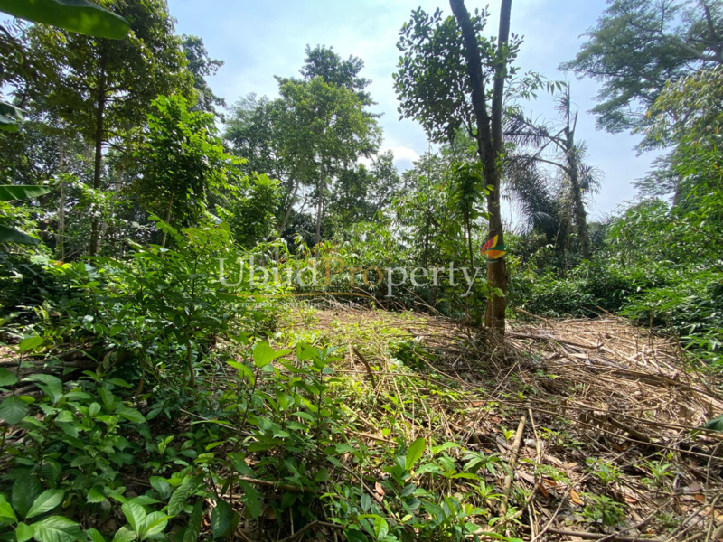 Ubud Property Land For Sale in Ubud Bali