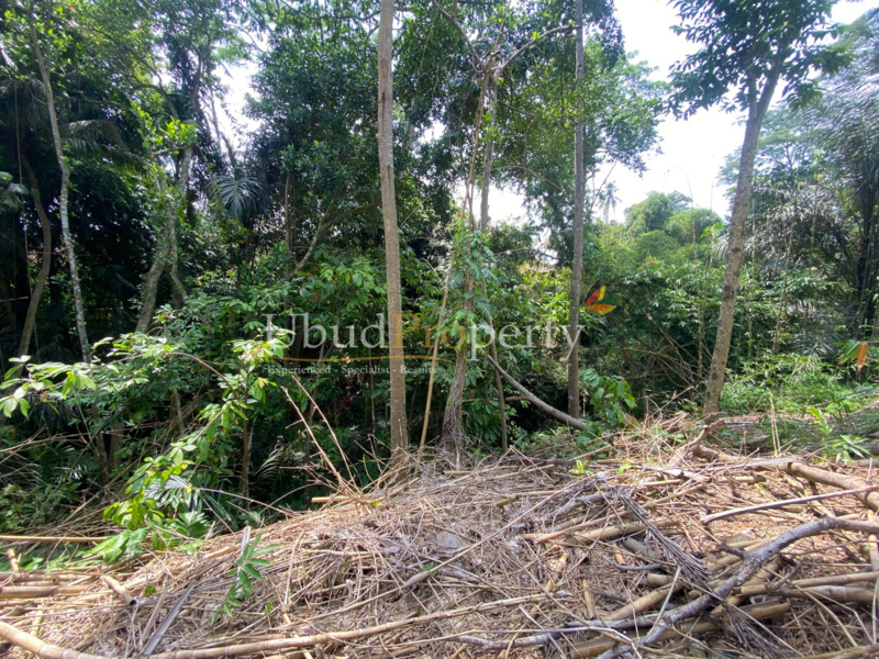 Ubud Property Land For Sale in Ubud Bali