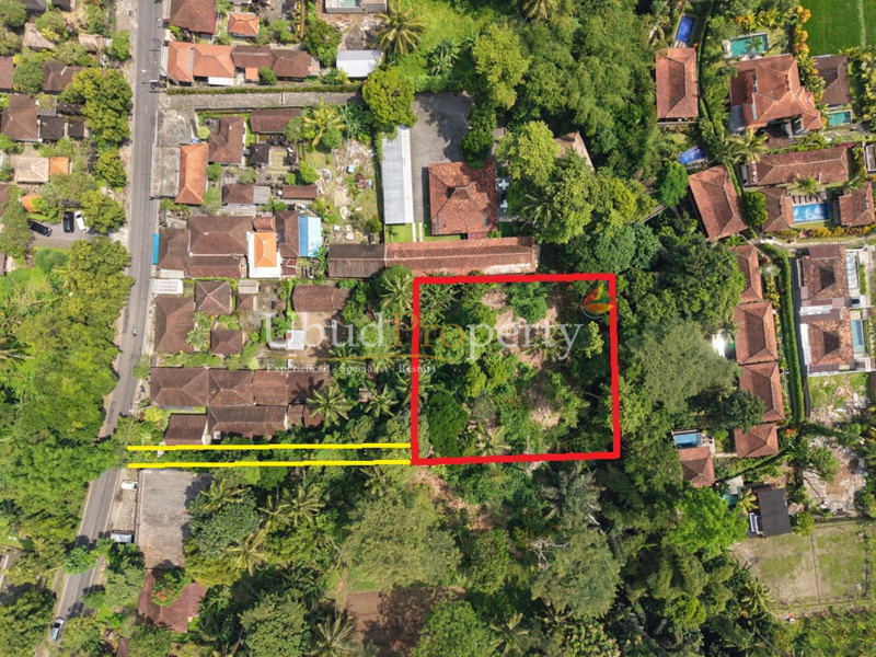 Ubud Property Land For Sale in Ubud Bali