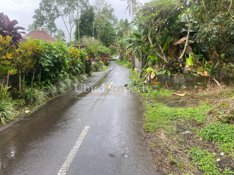 Ubud Property Land For Sale in Ubud Bali