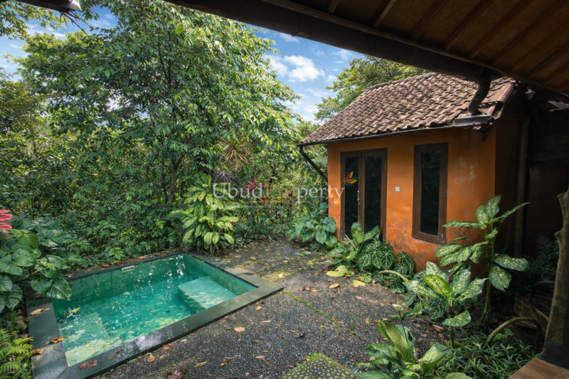 Villa For Sale Freehold in Ubud Bali