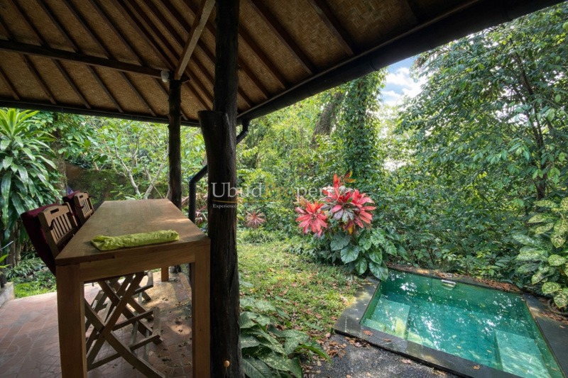 Ubud Property Villa For Sale in Ubud Bali