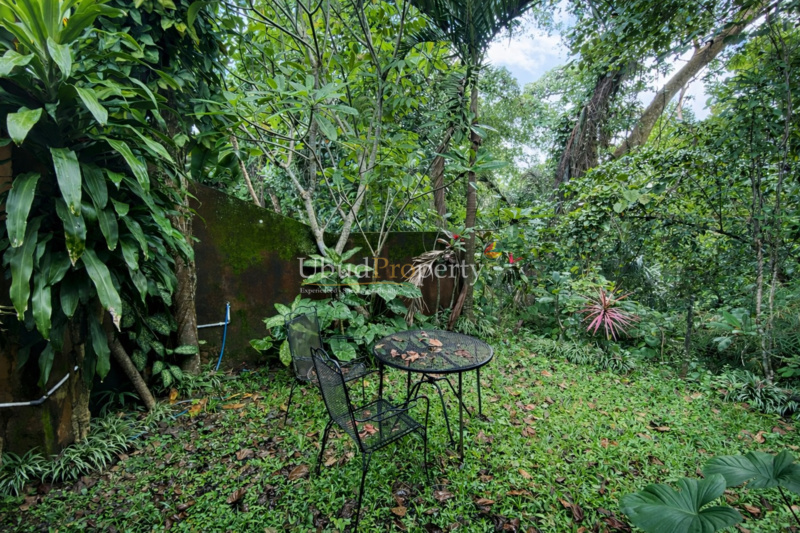 Ubud Property Villa For Sale in Ubud Bali