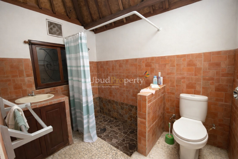 Ubud Property Villa For Sale in Ubud Bali