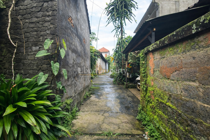 Ubud Property Villa For Sale in Ubud Bali