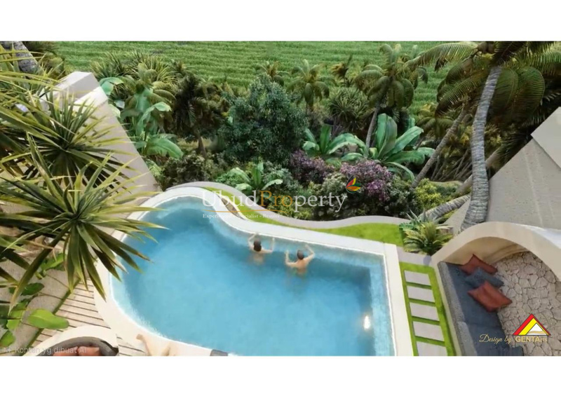 Ubud Property Villa For Sale in Ubud Bali