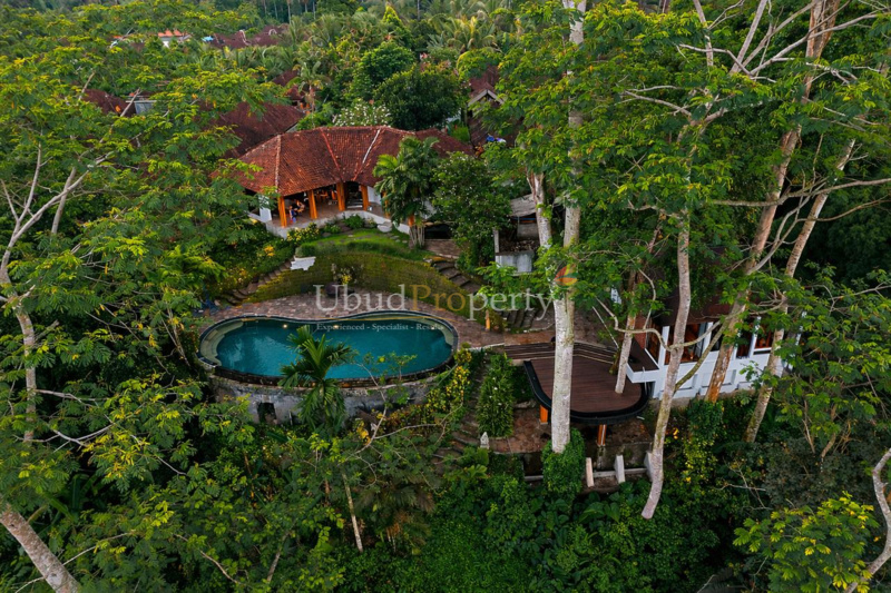 Villa For Sale Freehold in Ubud Bali