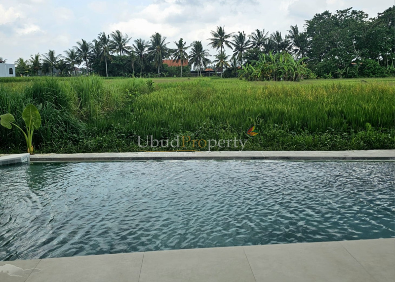 Ubud Property Villa For Sale in Ubud Bali
