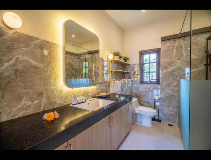 Ubud Property Villa For Sale in Ubud Bali