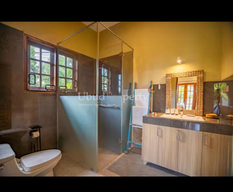 Ubud Property Villa For Sale in Ubud Bali