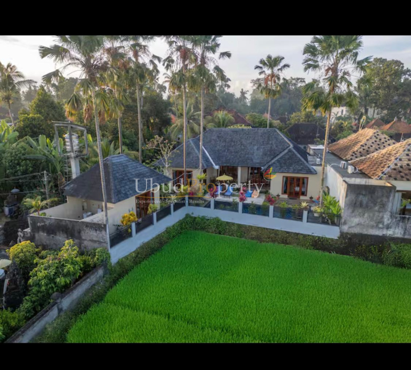 Ubud Property Villa For Sale in Ubud Bali