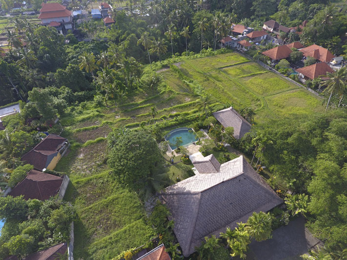 ubud villa rental