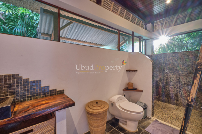 Ubud Property Villa For Sale in Ubud Bali