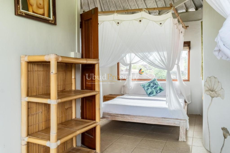 Ubud Property Villa For Sale in Ubud Bali