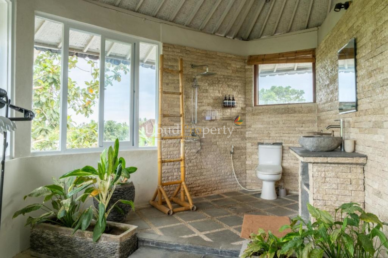 Ubud Property Villa For Sale in Ubud Bali