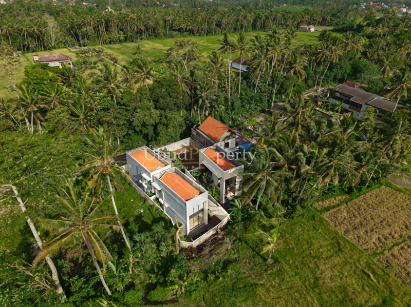 Ubud Property Villa For Sale in Ubud Bali
