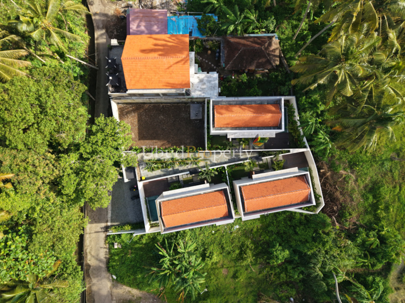Ubud Property Villa For Sale in Ubud Bali