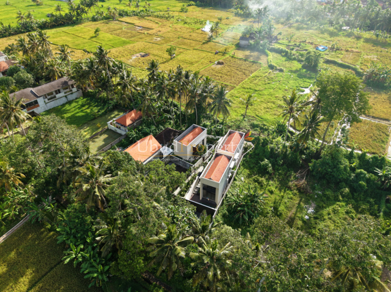 Ubud Property Villa For Sale in Ubud Bali