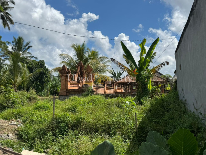 LLU.215