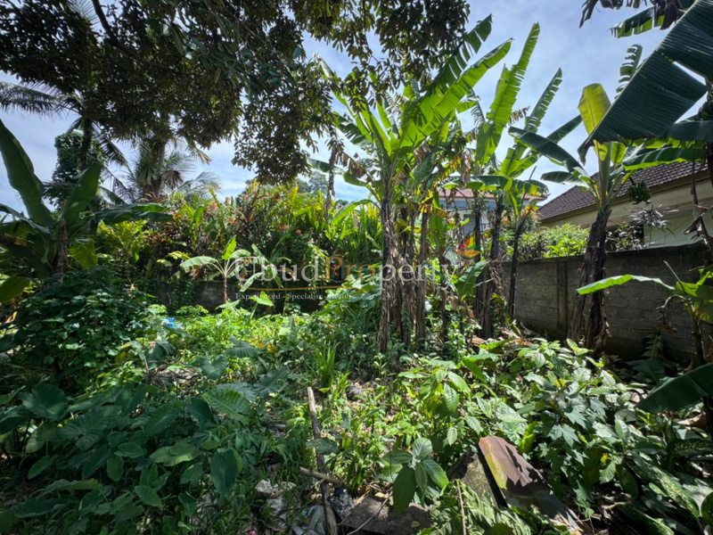 Ubud Property Land For Sale in Ubud Bali