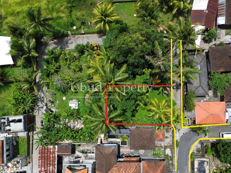 Land For Sale Freehold in Ubud Bali