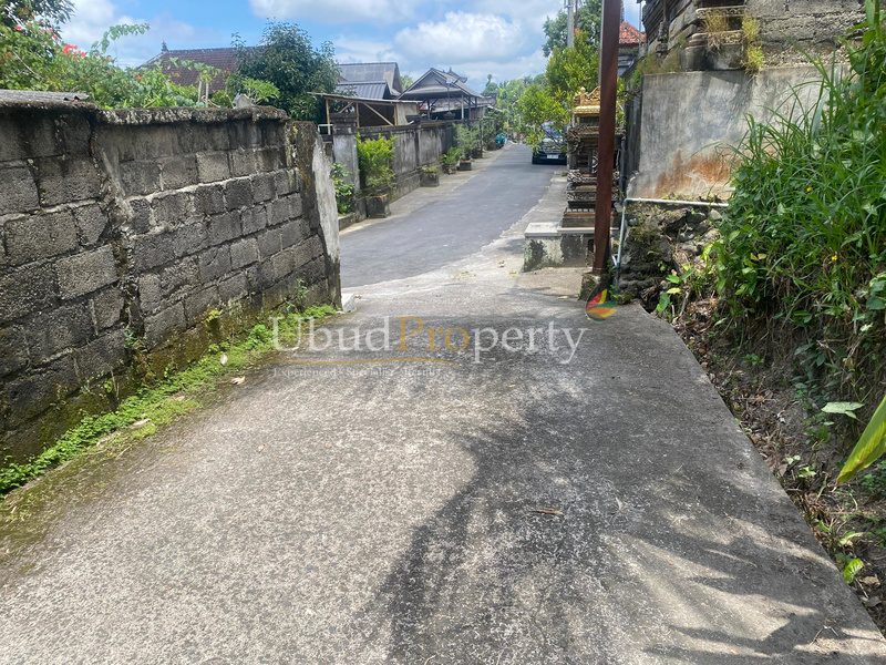 Ubud Property Land For Sale in Ubud Bali