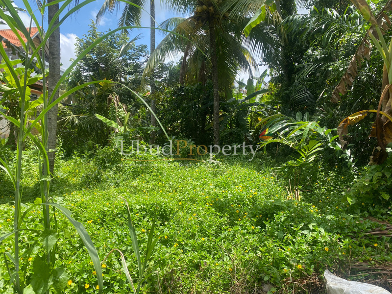 Ubud Property Land For Sale in Ubud Bali
