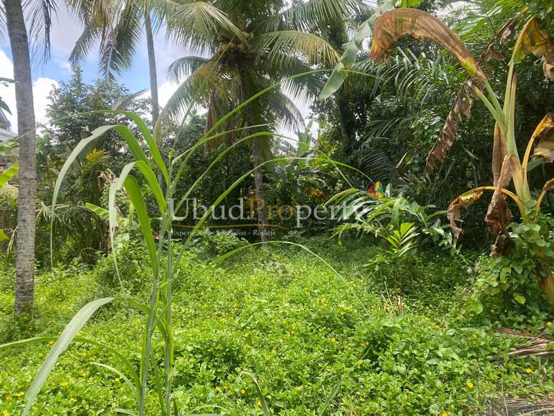 Ubud Property Land For Sale in Ubud Bali