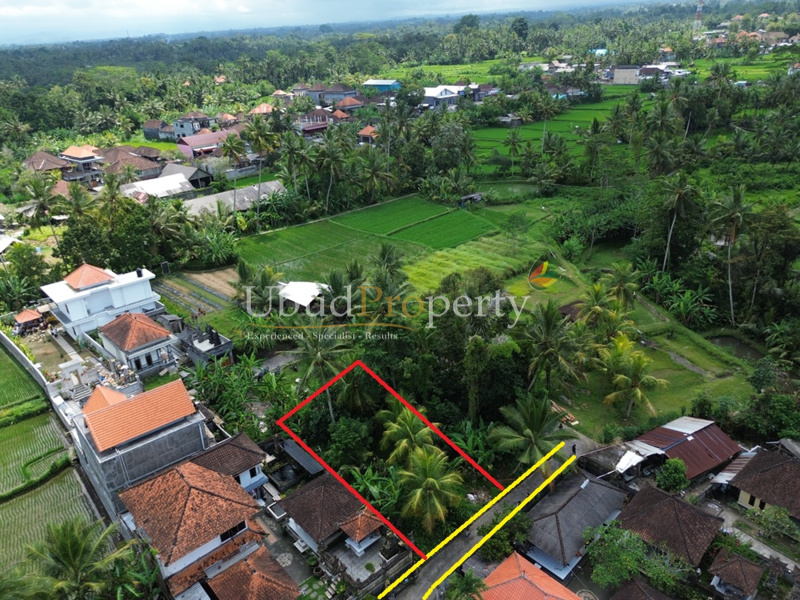 Ubud Property Land For Sale in Ubud Bali
