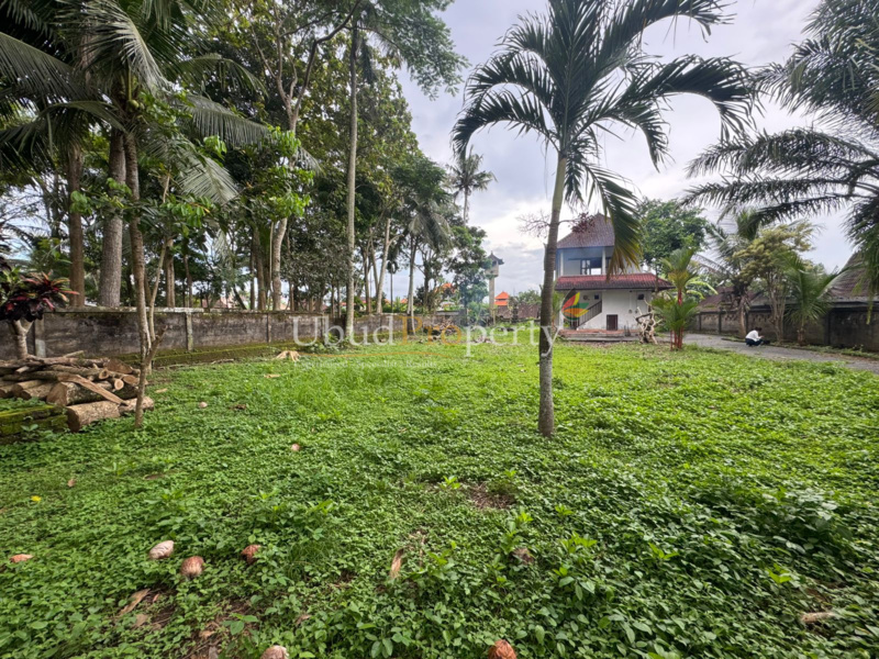 Ubud Property Land For Sale in Ubud Bali