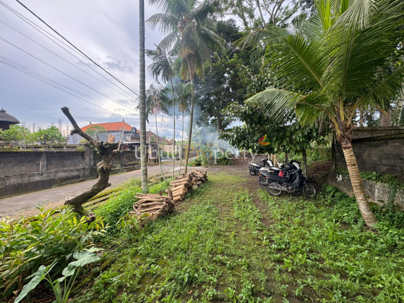 Ubud Property Land For Sale in Ubud Bali