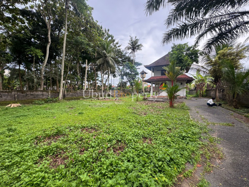 Ubud Property Land For Sale in Ubud Bali