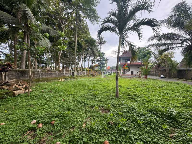 Ubud Property Land For Sale in Ubud Bali