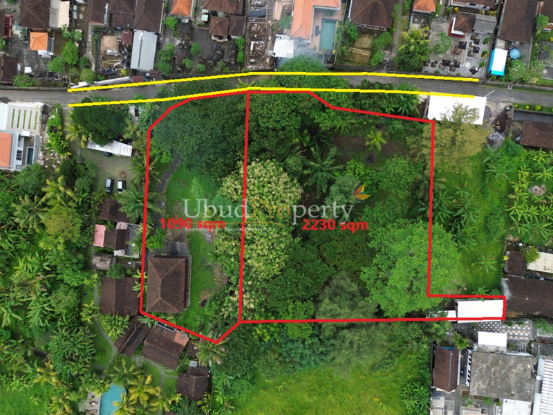 Ubud Property Land For Sale in Ubud Bali
