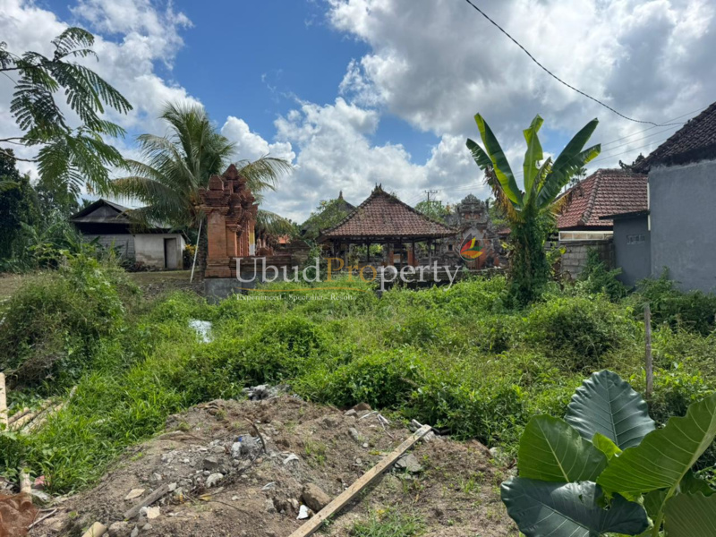 Ubud Property Land For Sale in Ubud Bali