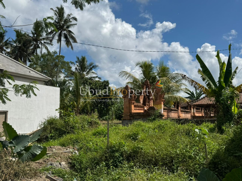 Ubud Property Land For Sale in Ubud Bali