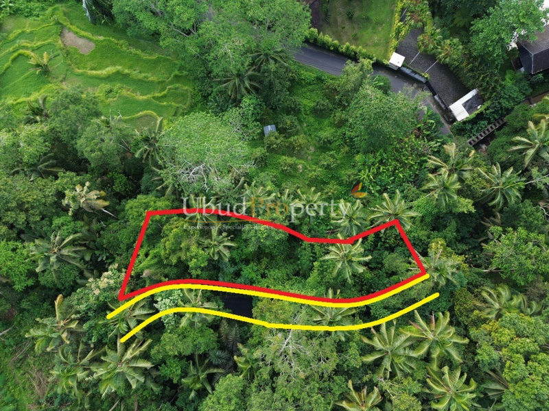 Land For Sale Freehold in Ubud Bali