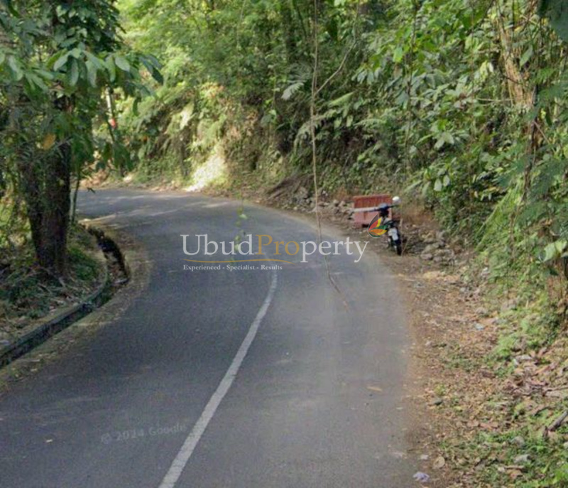 Ubud Property Land For Sale in Ubud Bali