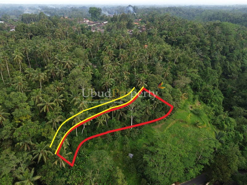 Ubud Property Land For Sale in Ubud Bali