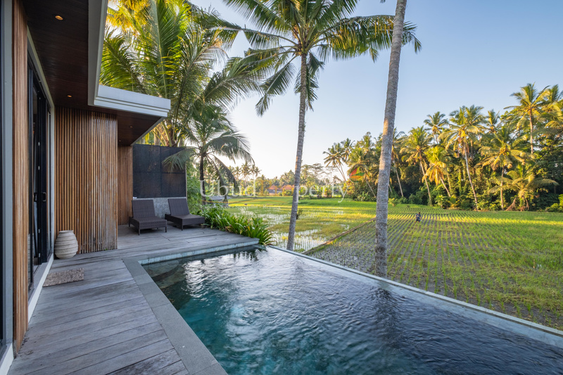 Ubud Property Villa For Sale in Ubud Bali