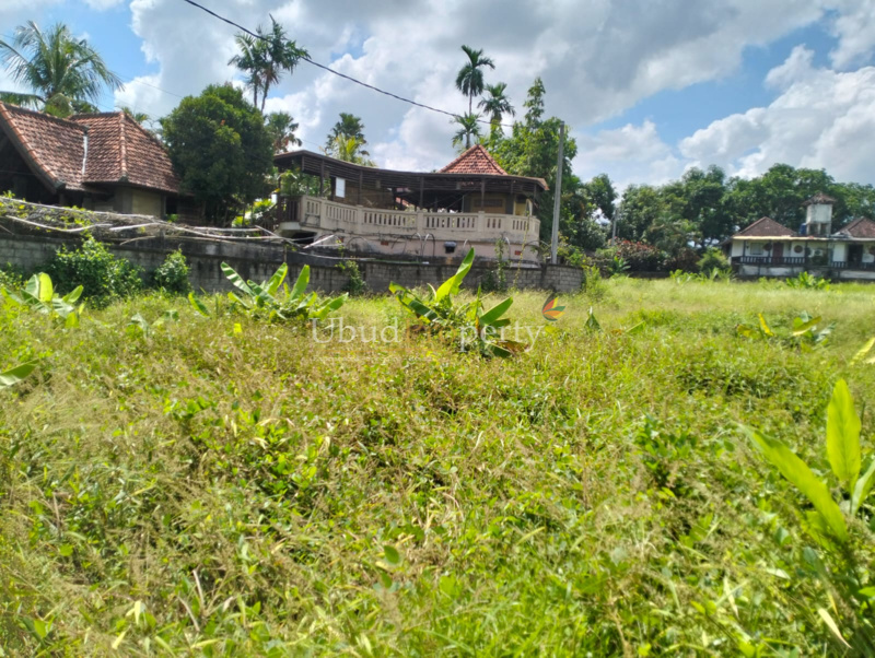 LLU.216