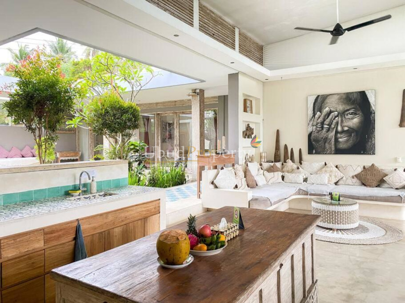 Ubud Property Villa For Sale in Ubud Bali