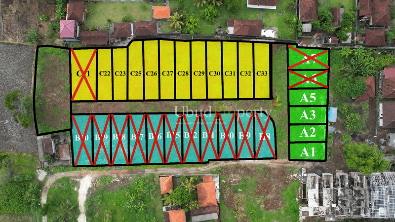 Ubud Property Villa For Sale in Ubud Bali