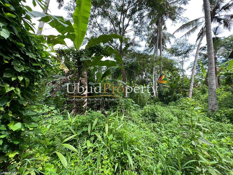 Ubud Property Land For Sale in Ubud Bali
