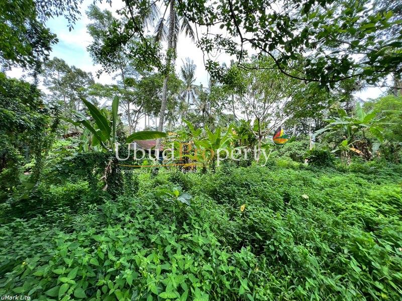 Ubud Property Land For Sale in Ubud Bali