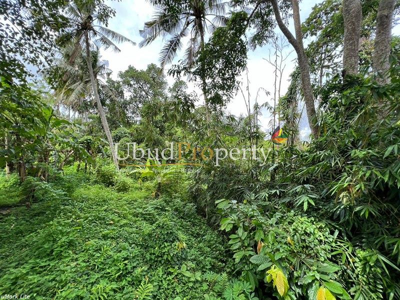 Ubud Property Land For Sale in Ubud Bali