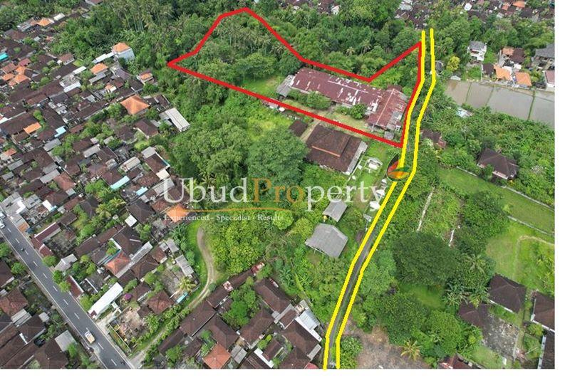 Ubud Property Land For Sale in Ubud Bali