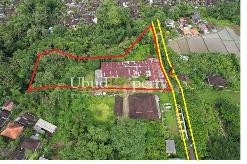 Land For Sale Freehold in Ubud Bali