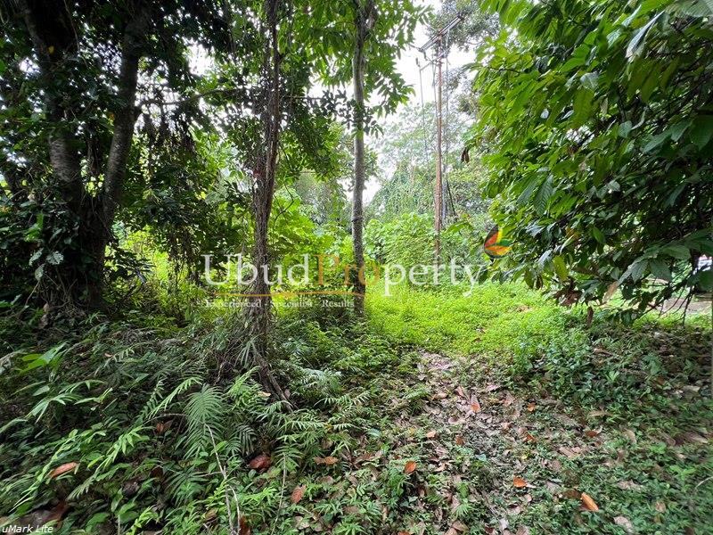 Ubud Property Land For Sale in Ubud Bali