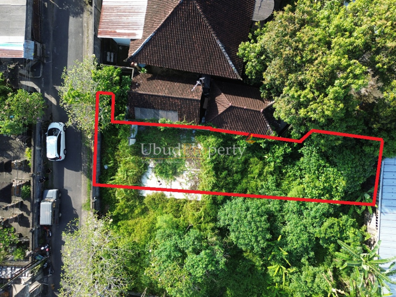 Land For Sale Freehold in Ubud Bali